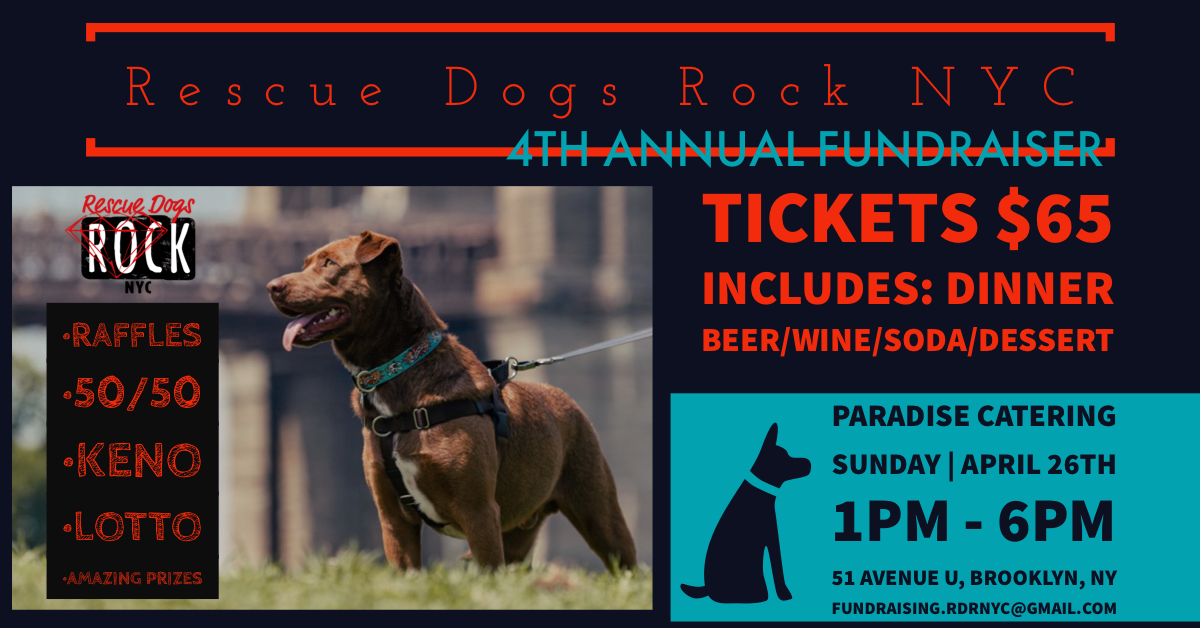 Rescue Dogs Rock NYC Rescue Dogs Rock NYC