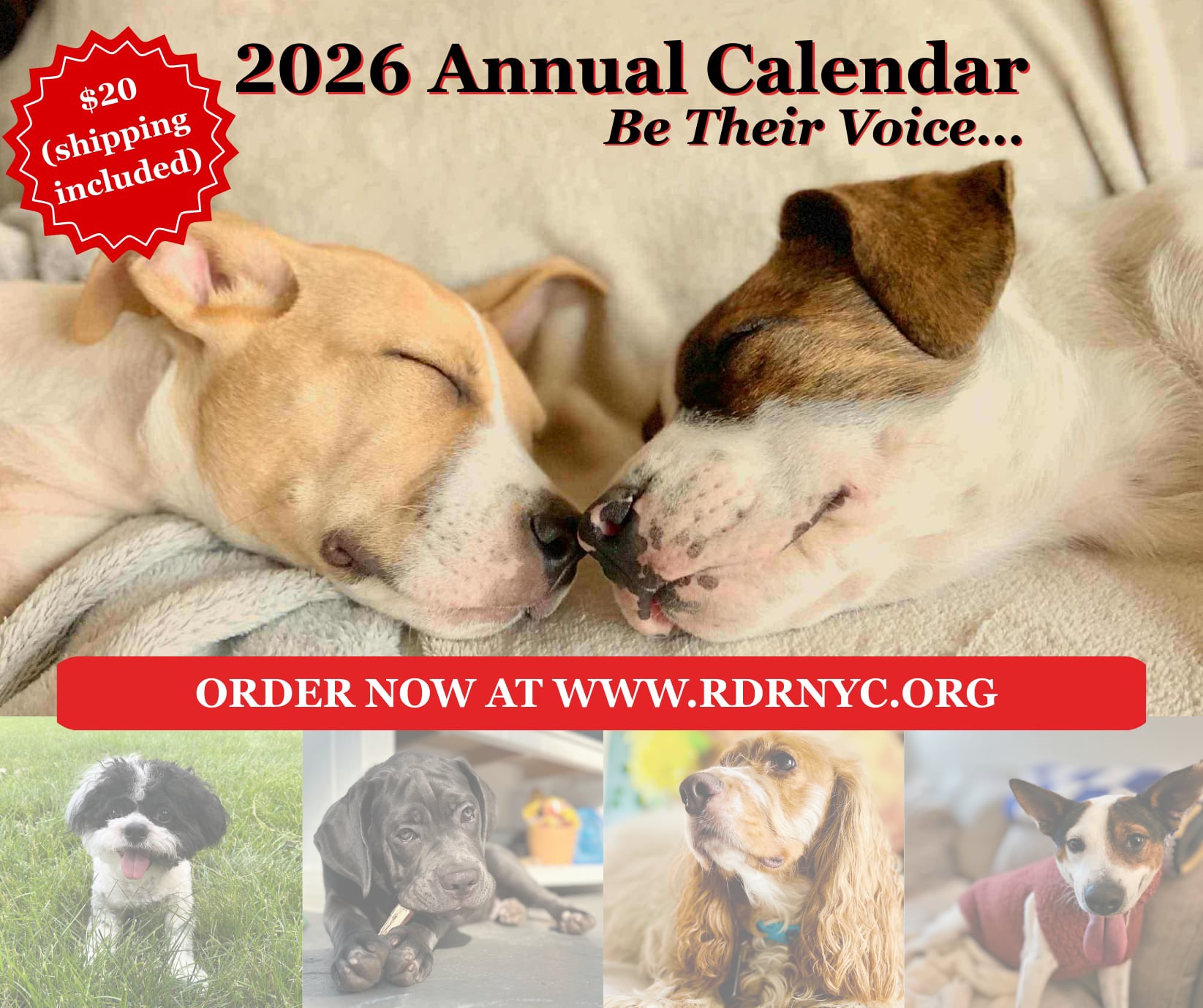 RDR 2026 Calendar